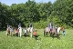 Séjour linguistique British Village en France à Chatillon sur Indre, option karting